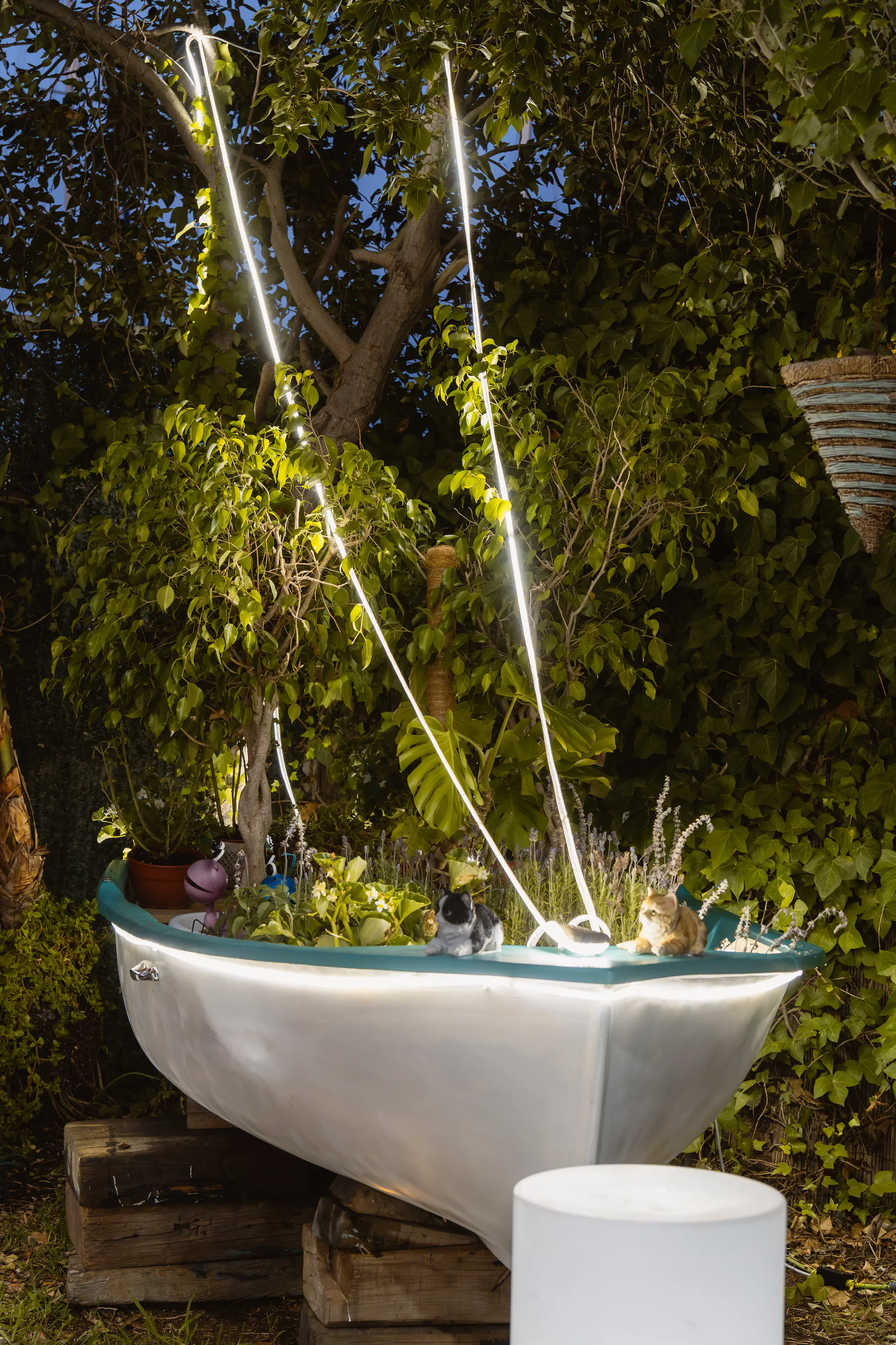 Plato de pescado fresco del día con guarnición