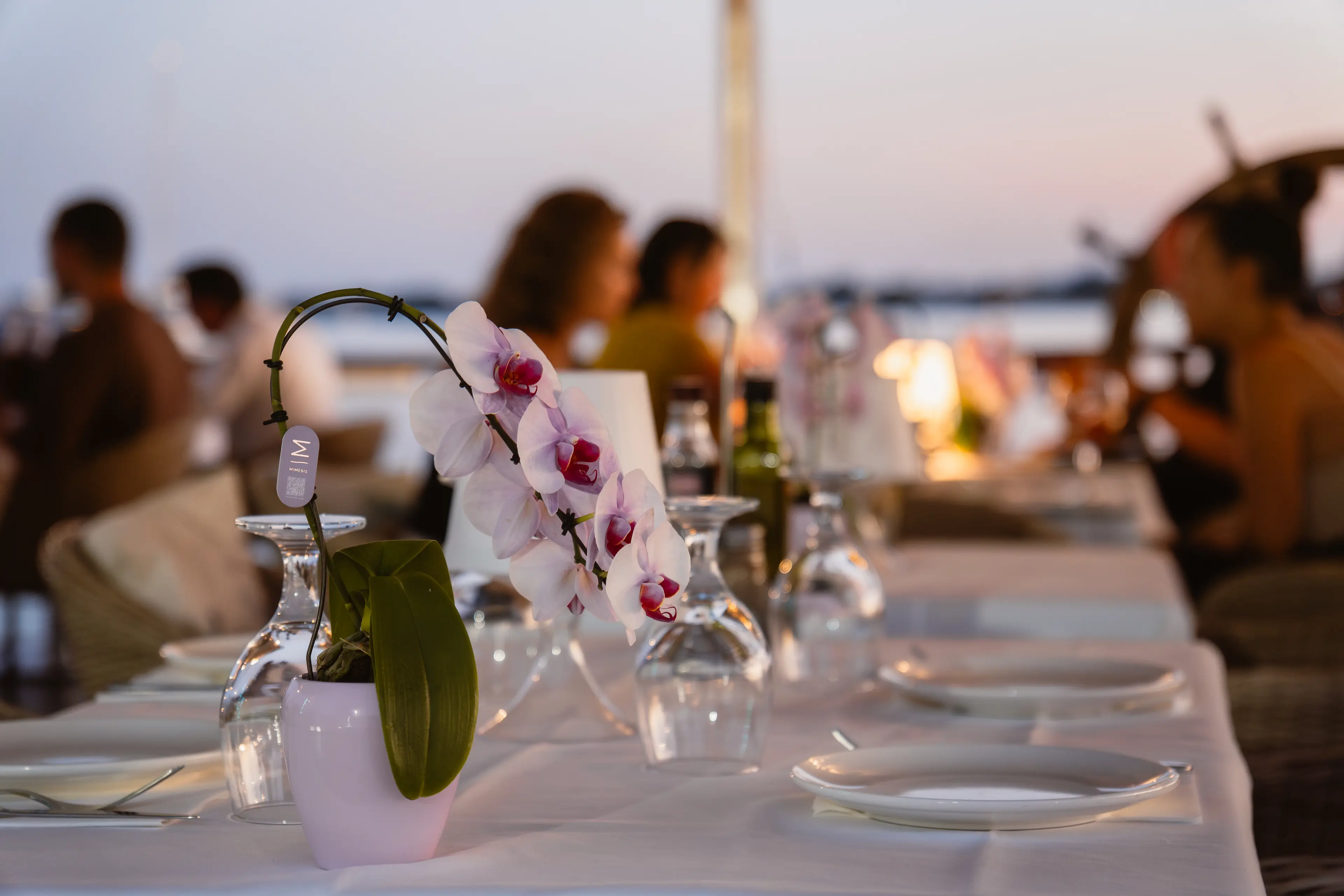 AQUA Restaurant - Vista 7