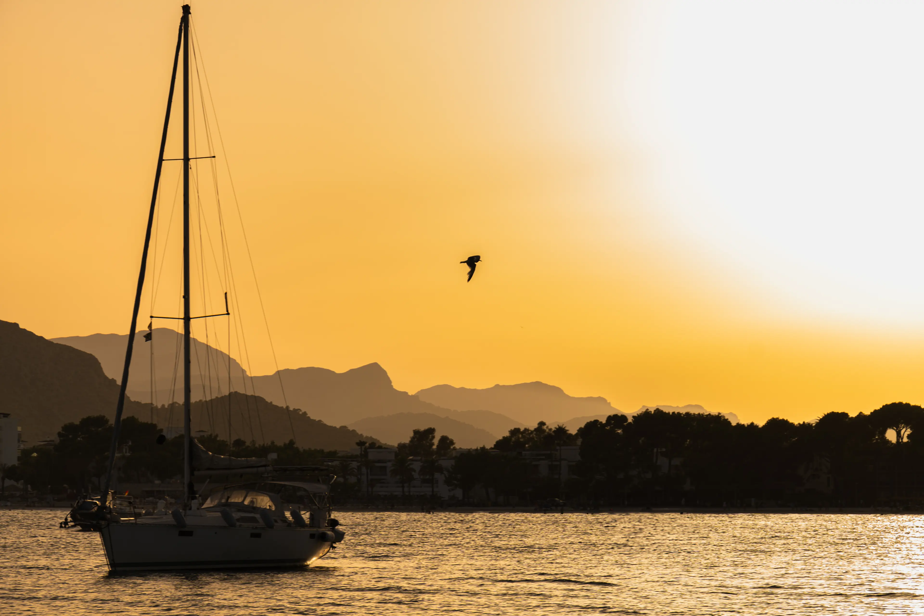 Ambiente de terraza con música en Aqua